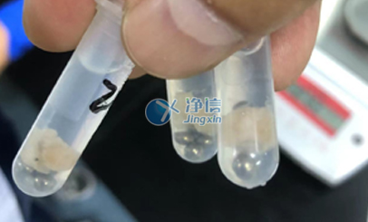 肠道研究|多样品组织研磨仪对老鼠肠组织研磨实验-上海净信